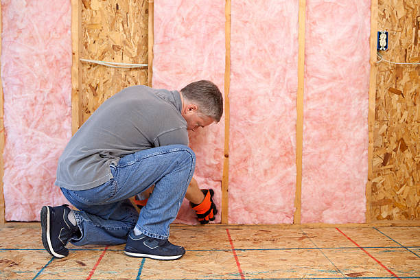 Best Spray Foam Insulation  in Chalmette, LA