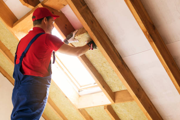 Best Commercial Insulation Services  in Chalmette, LA